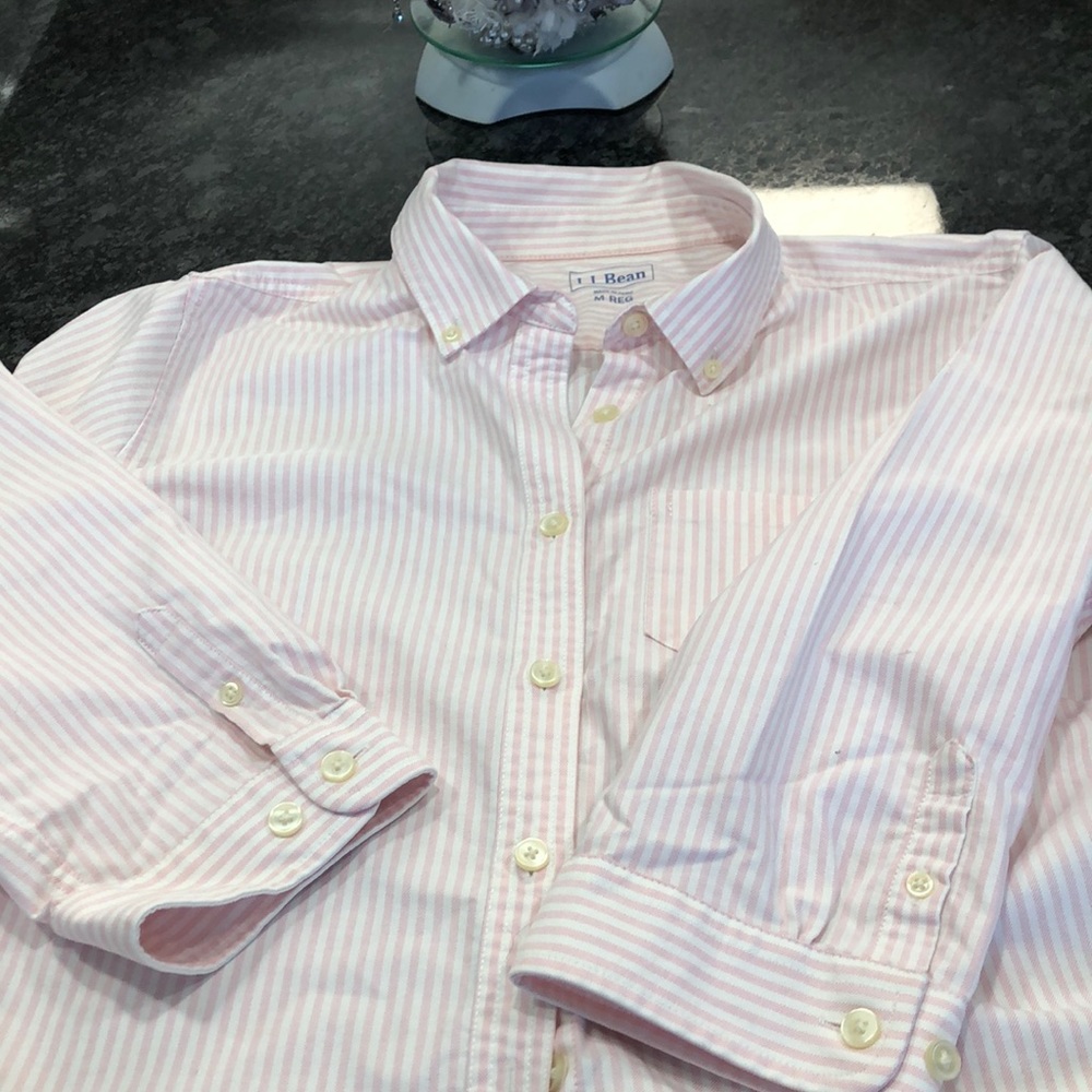 Pink & White pinstripe LL Bean shirt
